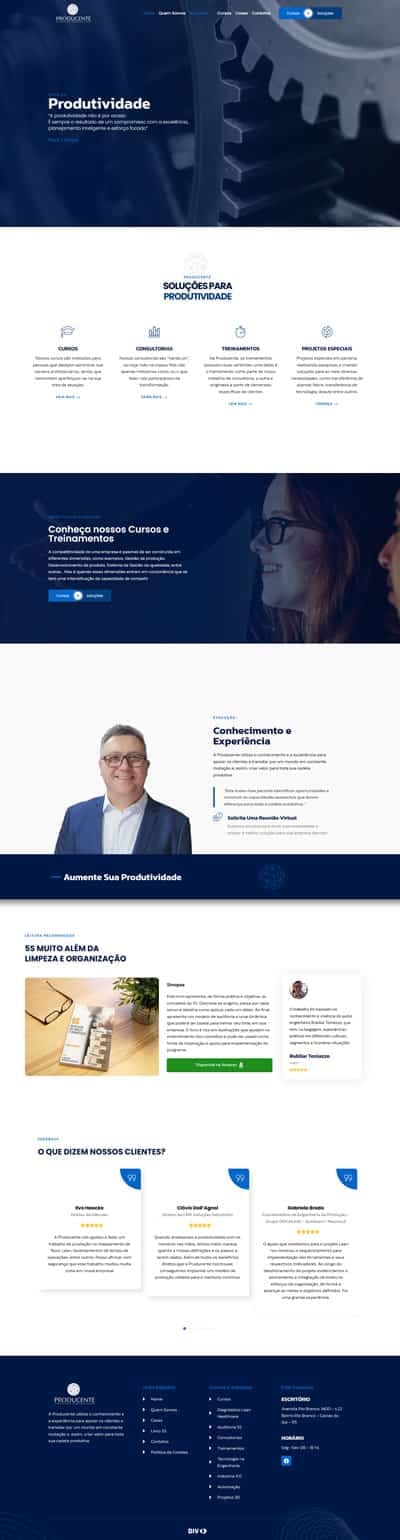 producente consultoria organizacional